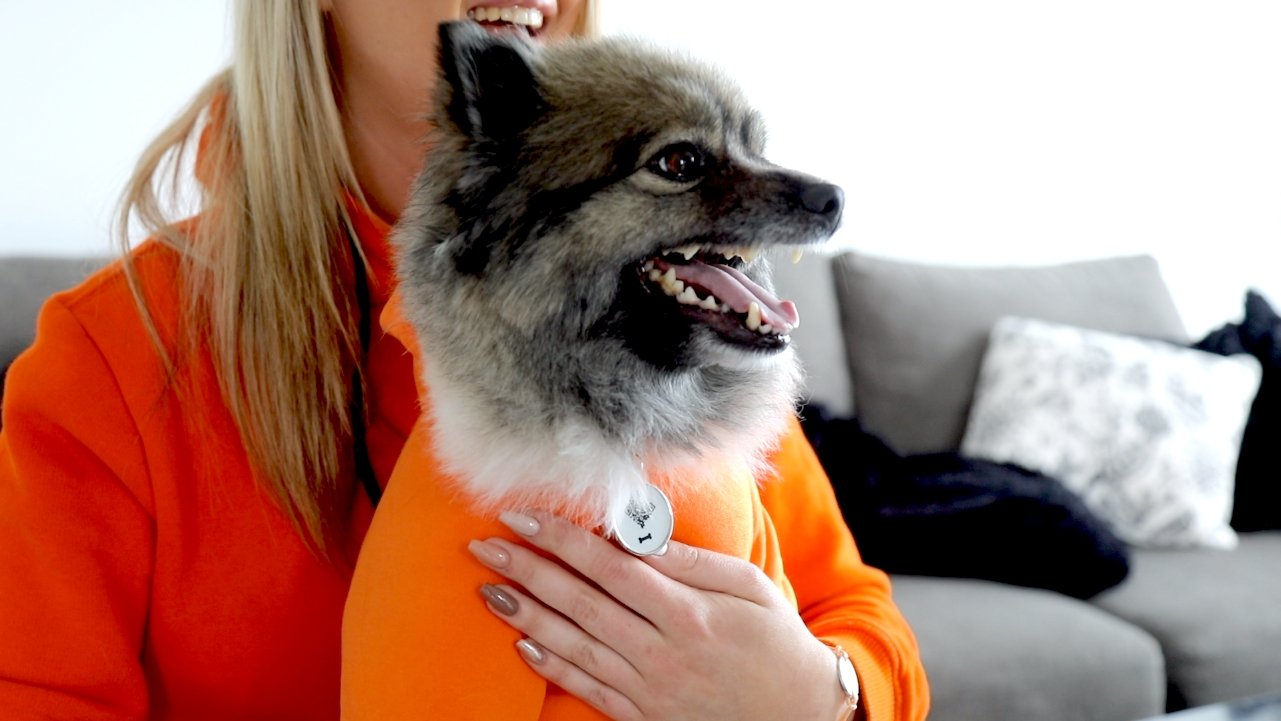 Qoeur. Médaille réfléchissante d'urgence. Chien - Os / blanc. - Qoeur.fr