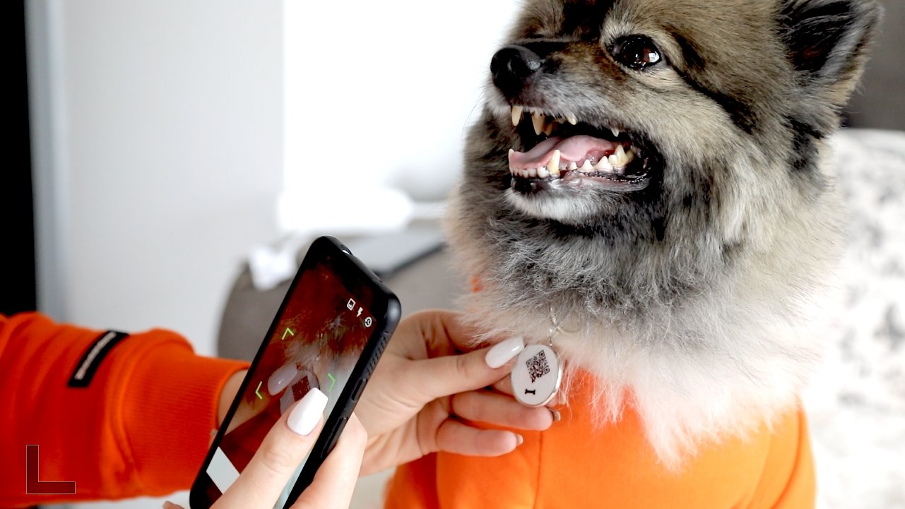 Qoeur. Médaille réfléchissante d'urgence. Chien - Os / blanc. - Qoeur.fr