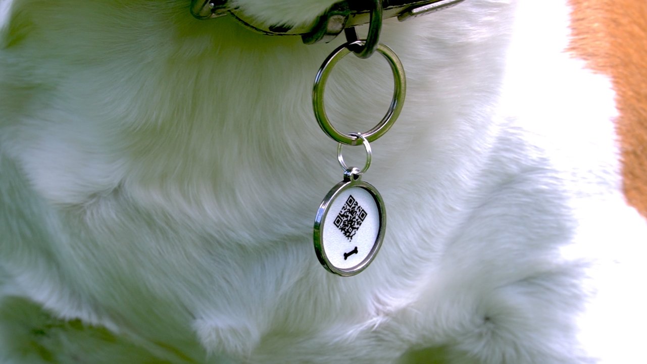 Qoeur. Médaille réfléchissante d'urgence. Chien - Os / blanc. - Qoeur.fr