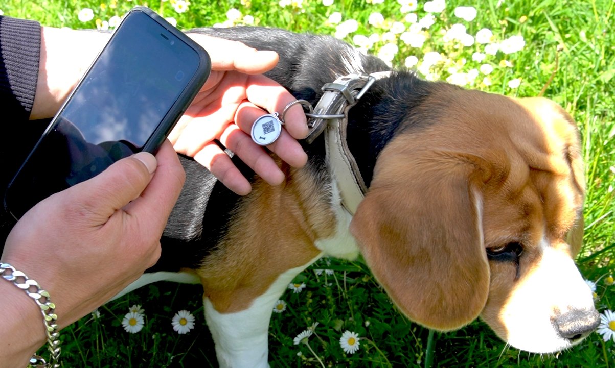 Qoeur. Médaille réfléchissante d'urgence. Chien - Os / blanc. - Qoeur.fr