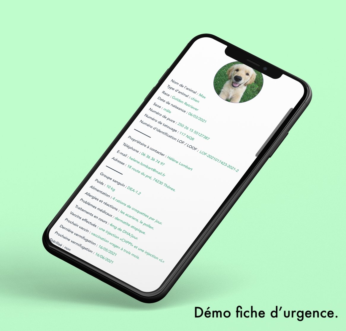Qoeur. Médaille réfléchissante d'urgence. Chat - Smile / rose. - Qoeur.fr